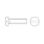 SW10021 Zylinderschraube mit Langsschlitz DIN 84 Edelstahl V4A